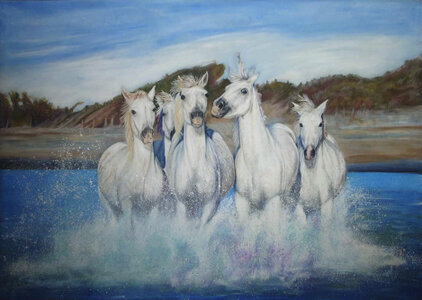 Camargue Ponies I